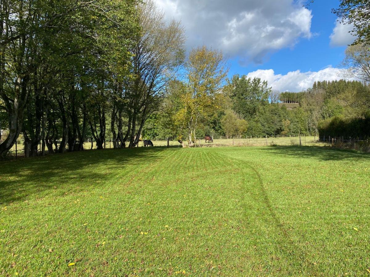 Le Héron - Gîte de charme avec rivière - 6 ou 10 personnes Fauvillers Exterior foto