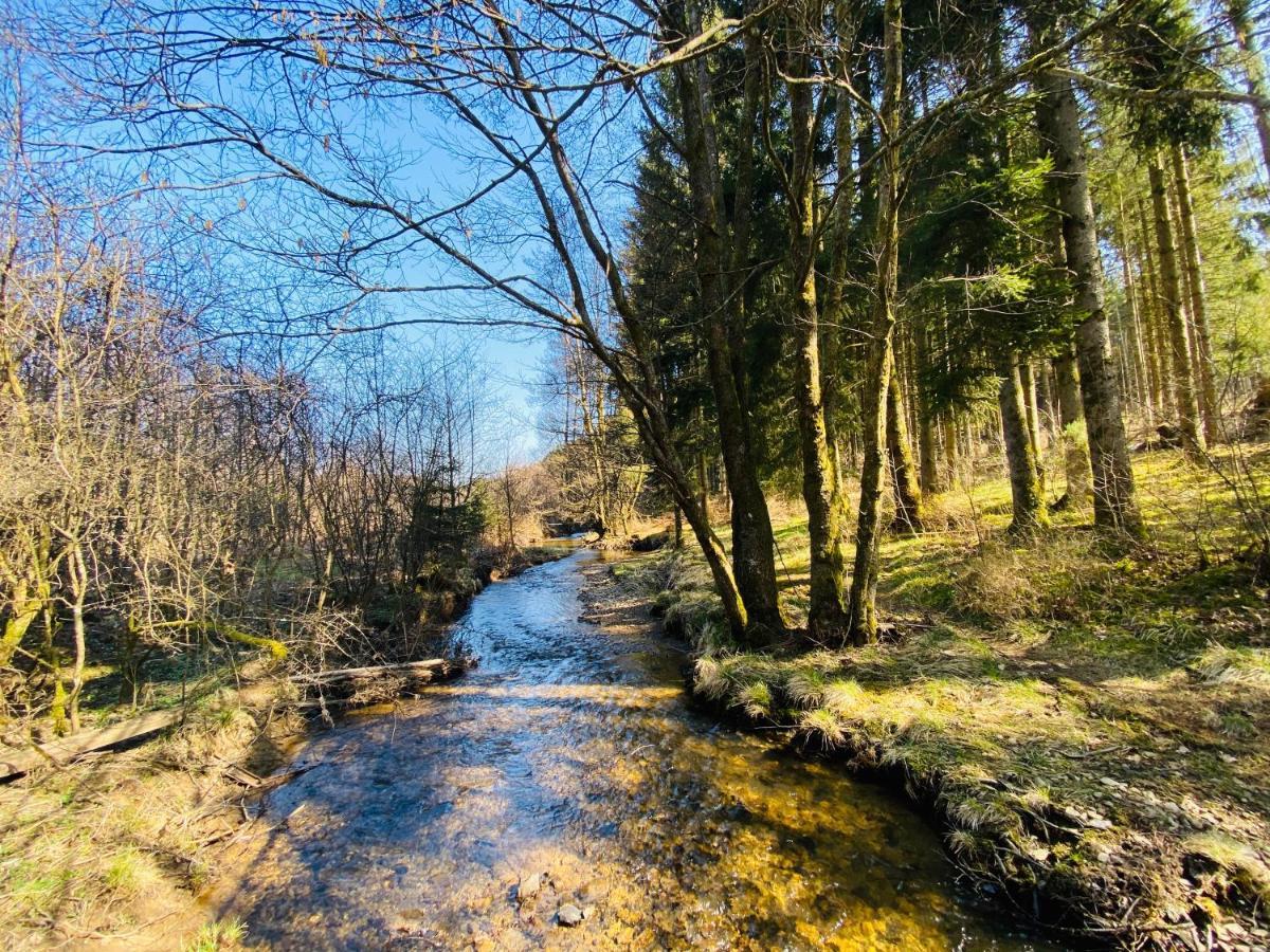 Le Héron - Gîte de charme avec rivière - 6 ou 10 personnes Fauvillers Exterior foto