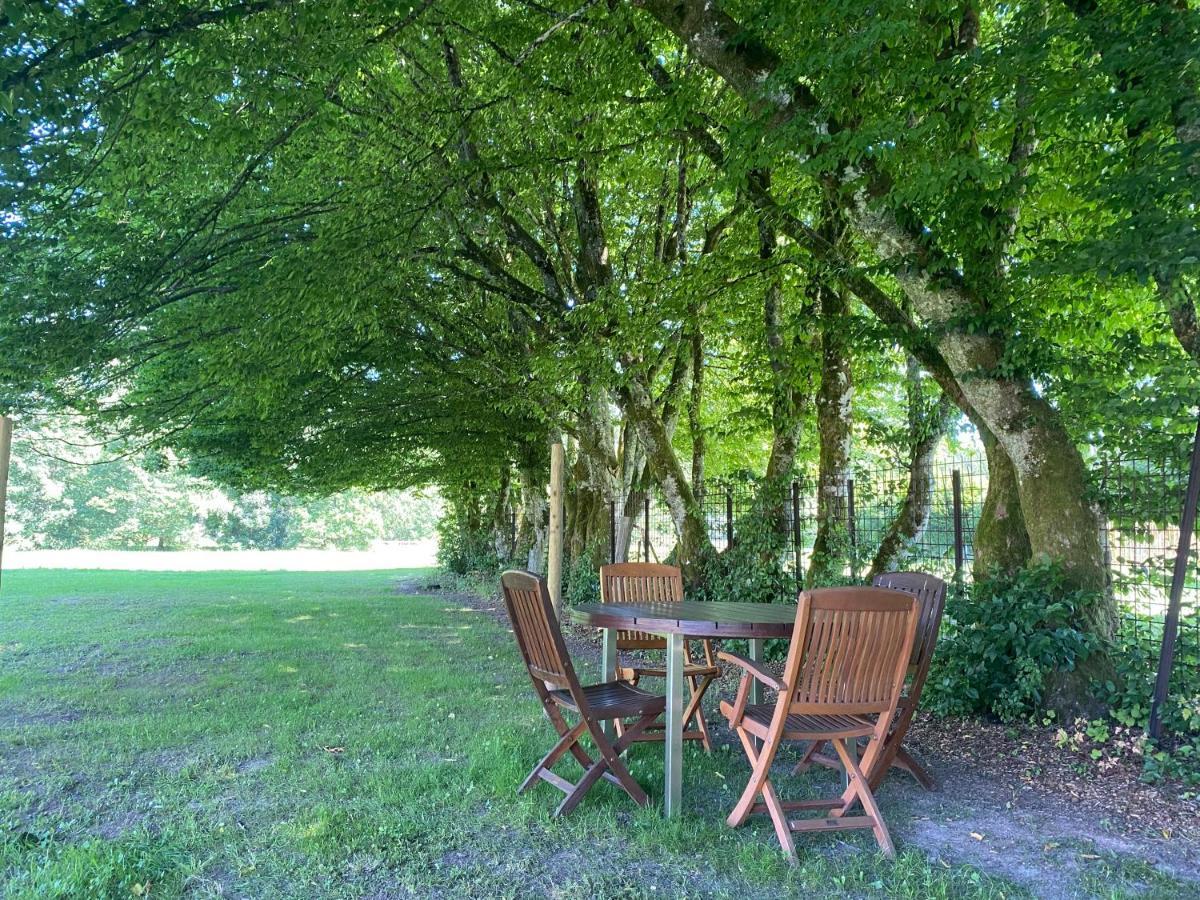 Le Héron - Gîte de charme avec rivière - 6 ou 10 personnes Fauvillers Exterior foto